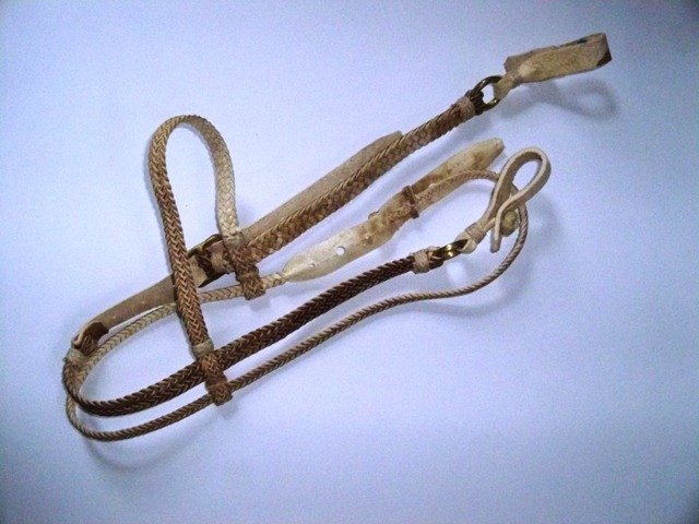 Symphony Saddle & Tack Sales | 778 County Rd 37, Wheatley, ON N0P 2P0, Canada | Phone: (877) 825-8708