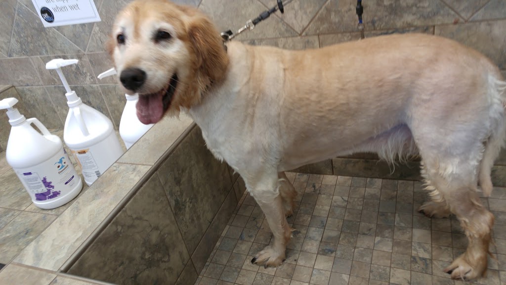 Pet Valu | 5919 Perth St, Richmond, ON K0A 2Z0, Canada | Phone: (613) 838-5888
