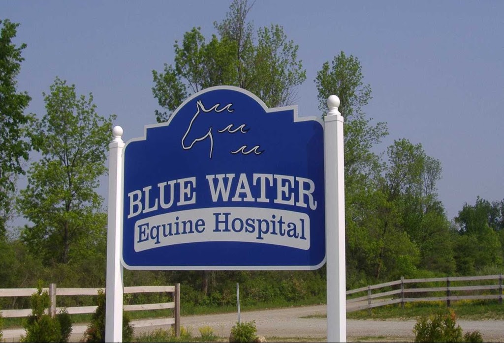 Blue Water Equine Hospital | 3996 Keegan Rd, Emmett, MI 48022, USA | Phone: (810) 384-1100