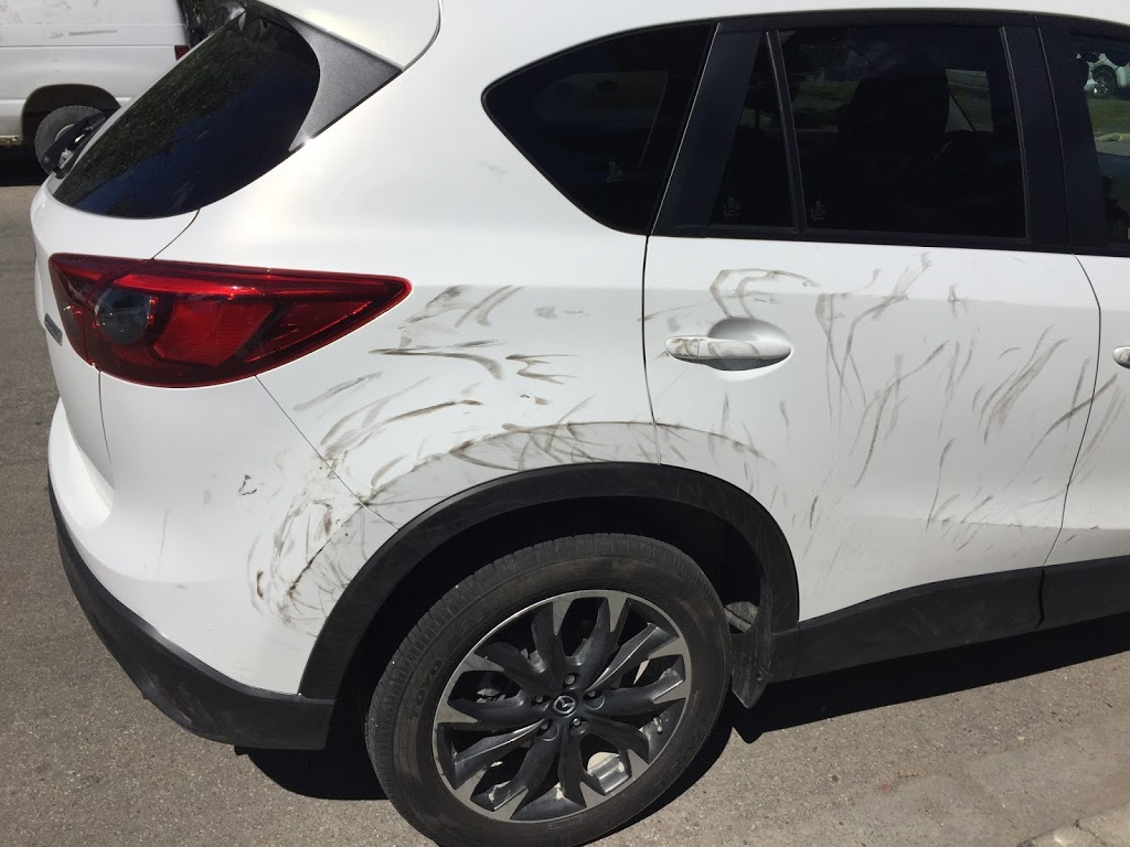 Personal Touch Car Care | 400 Shore Dr NE, Calgary, AB T2M 4L5, Canada | Phone: (403) 287-8244