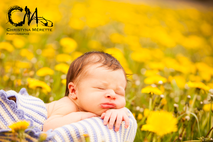 Christyna Mérette Photographe | 1 Chem. des Lacs, Lac-Beauport, QC G3B 1C1, Canada | Phone: (418) 951-0602