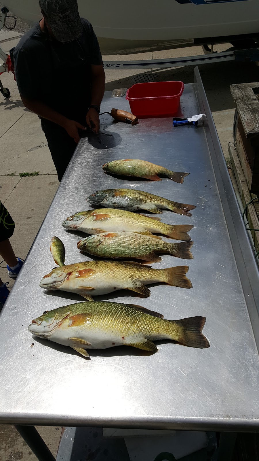 Anglers Point Bait/Marina | 28955 William P Rosso Hwy, Chesterfield, MI 48047, USA | Phone: (586) 949-9223