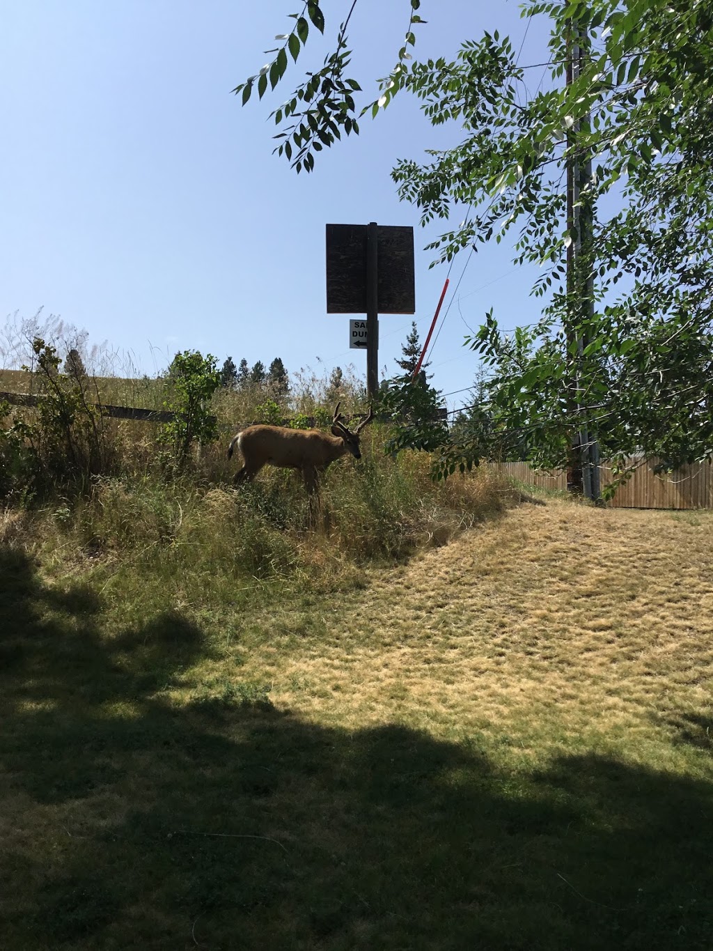 Rivers Edge RV Park | 305 Sanderson Way, Princeton, BC V0X 1W0, Canada | Phone: (250) 295-6568