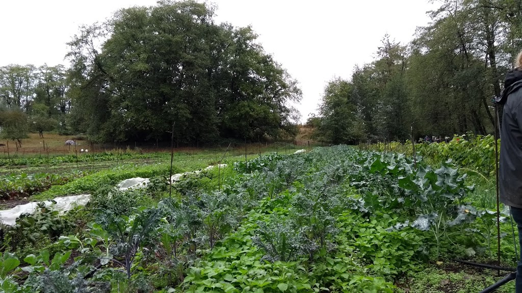 Glorious Organics Co-op | 1374 256 St, Aldergrove, BC V4W 2J4, Canada | Phone: (604) 857-1400