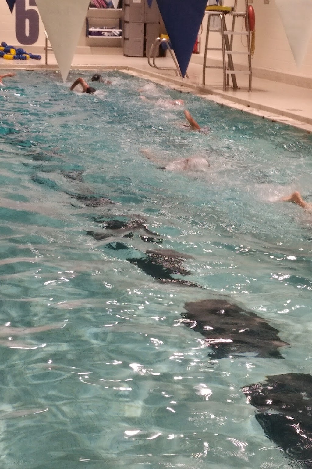 Thornlea Pool/Gym | 8079 Bayview Ave, Thornhill, ON L3T 4N4, Canada | Phone: (905) 889-0766