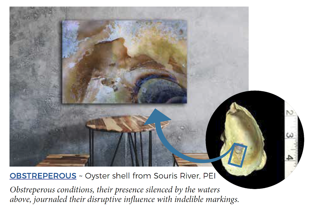 Oyster Art | 795 Canada Rd, Tyne Valley, PE C0B 2C0, Canada | Phone: (902) 831-2330
