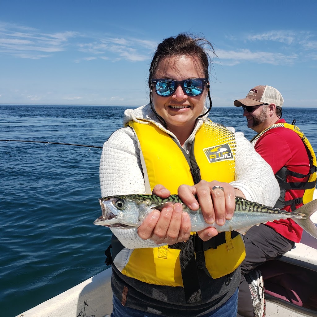 Annapolis Basin Charter Tours | 90 Water St, Digby, NS B0V 1A0, Canada | Phone: (902) 526-3583