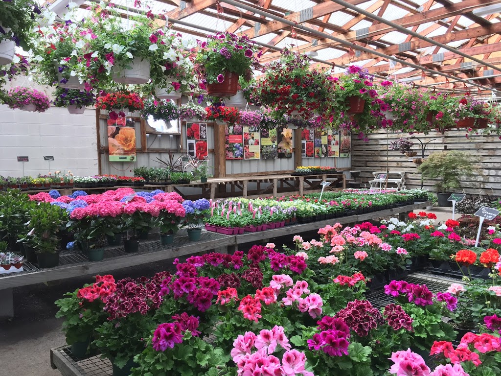 Wayside Landscaping & Nursery | 8962 Porter Rd, Niagara Falls, NY 14304, USA | Phone: (716) 297-3811