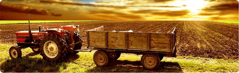 Rollins Machinery Ltd. | 3306 Smiley Rd, Chemainus, BC V0R 1K4, Canada | Phone: (250) 246-1203