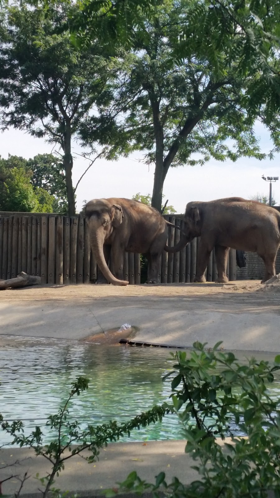 The Buffalo Zoo | 300 Parkside Ave, Buffalo, NY 14214, USA | Phone: (716) 837-3900