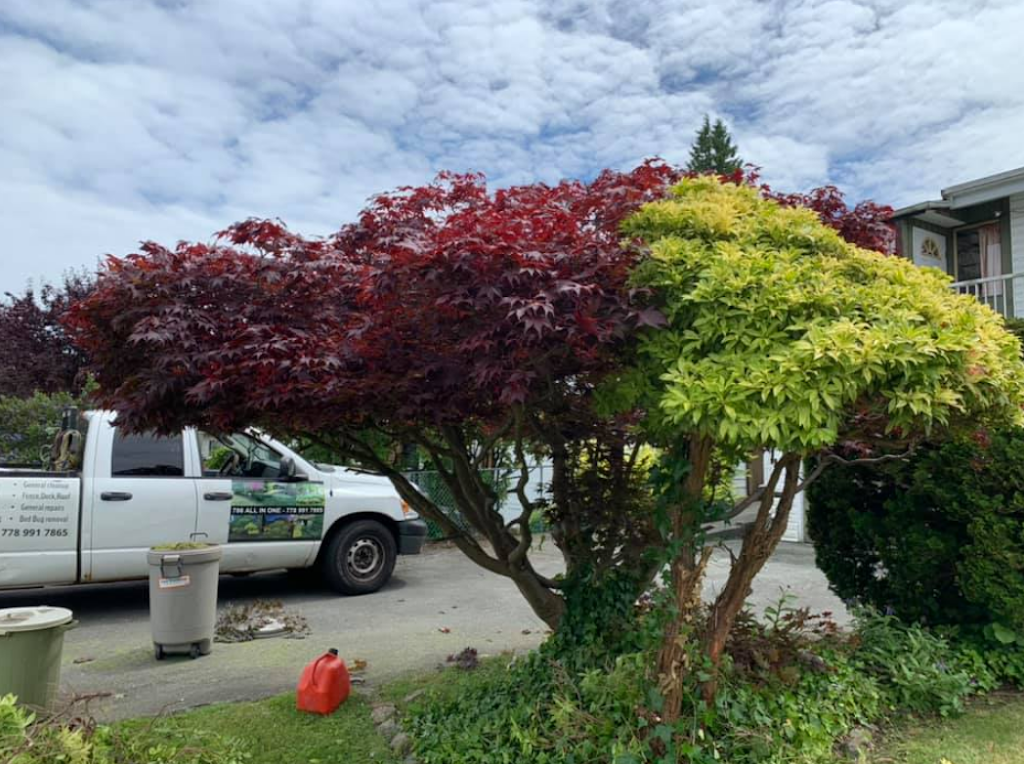 786 All in service | 11966 96 Ave, Delta, BC V3R 3W7, Canada | Phone: (778) 991-7865