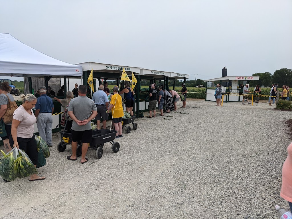 Snyders Sweet Corn | 1863 Haldimand Rd 9, Caledonia, ON N3W 2K1, Canada | Phone: (905) 765-0072