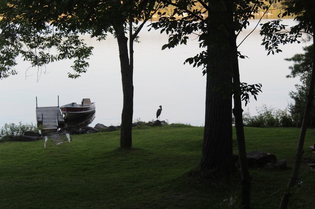 Bay View Resort, Seasonal May - Oct | 2969 Pearson Ln, Lakefield, ON K0L 2H0, Canada | Phone: (705) 657-3218