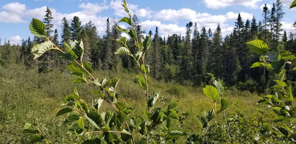 Echo Valley Nature & Bike Trails | Echo Hills Rd, Dwight, ON P0A 1H0, Canada | Phone: (877) 566-0005