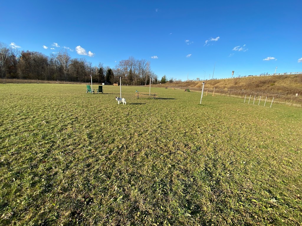 Country Canines Play Park - London | Wonderland Road South and, ON-402, London, ON N6P 1G5, Canada | Phone: (613) 878-2309