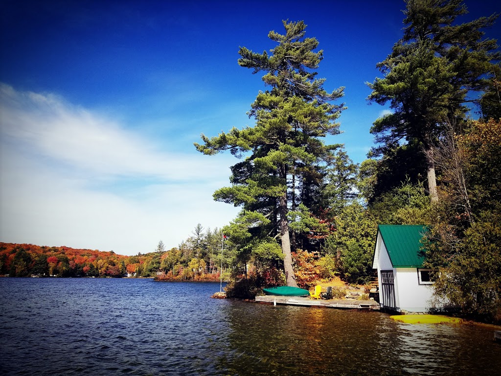 Muskoka Rain | 3425 Muskoka District Road 117, Baysville, ON P0B 1A0, Canada | Phone: (705) 645-3955