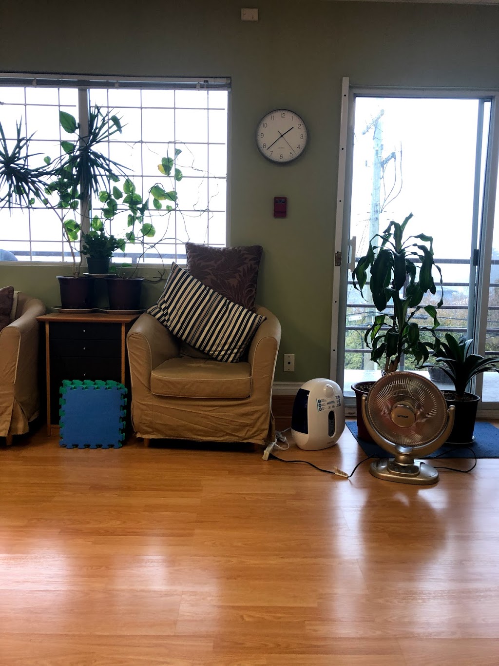 The Tian You Classical Acupuncture Center | #203, 3815 Sunset St, Burnaby, BC V5G 1T4, Canada | Phone: (604) 438-3877
