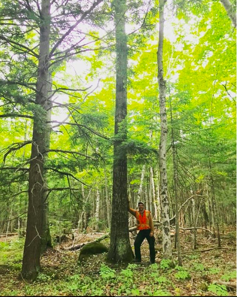 Lands & Forests Consulting | 421608 Concession 6 NDR, Elmwood, ON N0G 1S0, Canada | Phone: (519) 364-8733