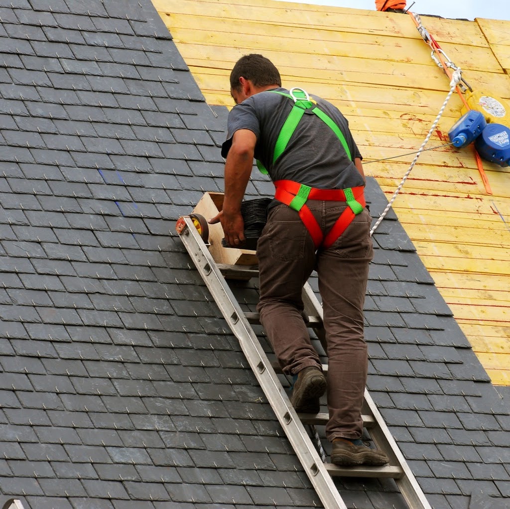 Paradise Roofing Ltd | 13446 95 Ave, Surrey, BC V3V 1P5, Canada | Phone: (604) 307-6751