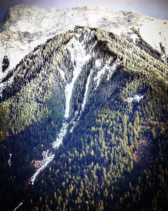 Harrison Eco Tours | 100 Esplanade, Harrison Hot Springs, BC V0M 1K0, Canada | Phone: (604) 316-4460