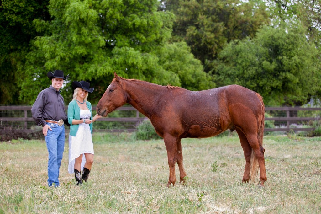 Cayley Wilson Performance Horses, Inc. | 1280 Powerhouse Rd, Abbotsford, BC V3G 1T7, Canada | Phone: (604) 300-0401