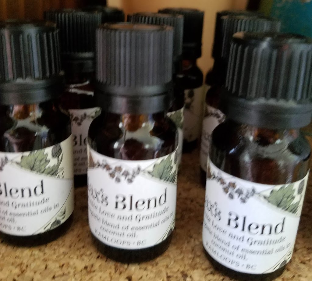Blue Turtle Spa | 10910 Bottom Wood Lake Rd, Lake Country, BC V4V 1V8, Canada | Phone: (778) 257-6340