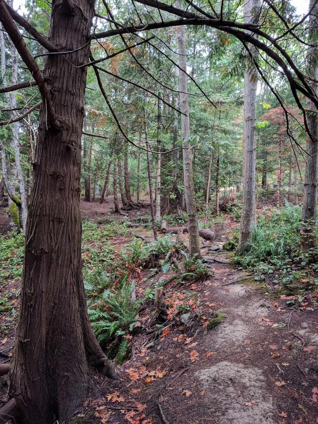 Dinner Bay | Williams, Mayne Island, BC V0N 2J2, Canada