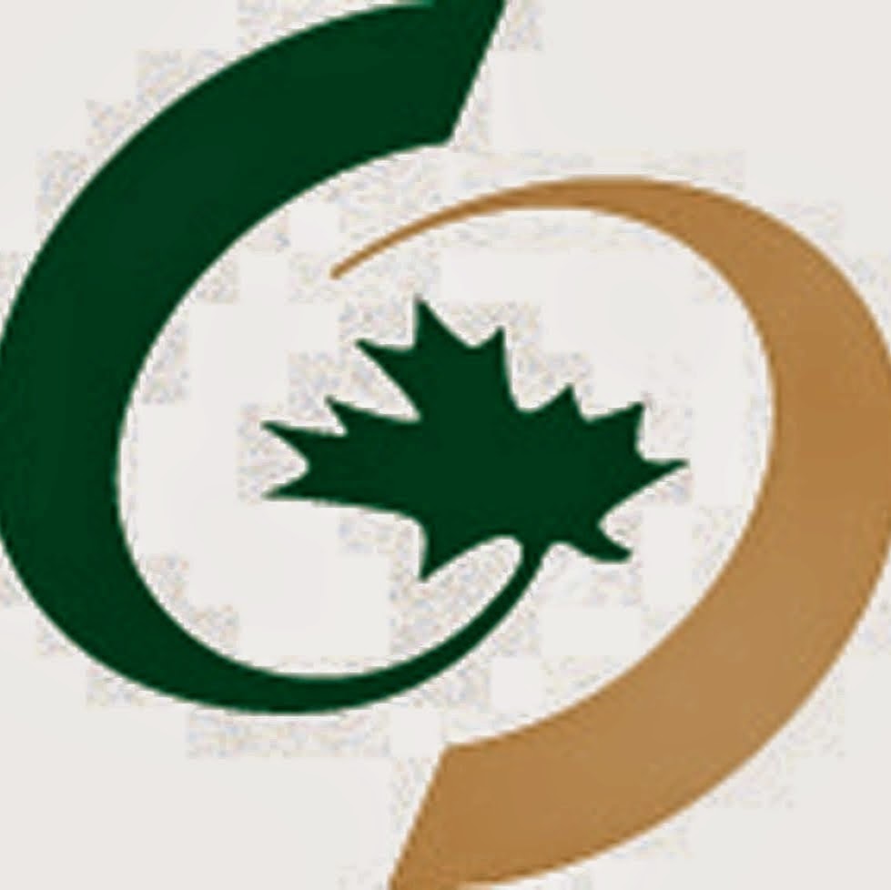 Burford Insurance Brokers | 132 King St, Burford, ON N0E 1A0, Canada | Phone: (519) 449-2425