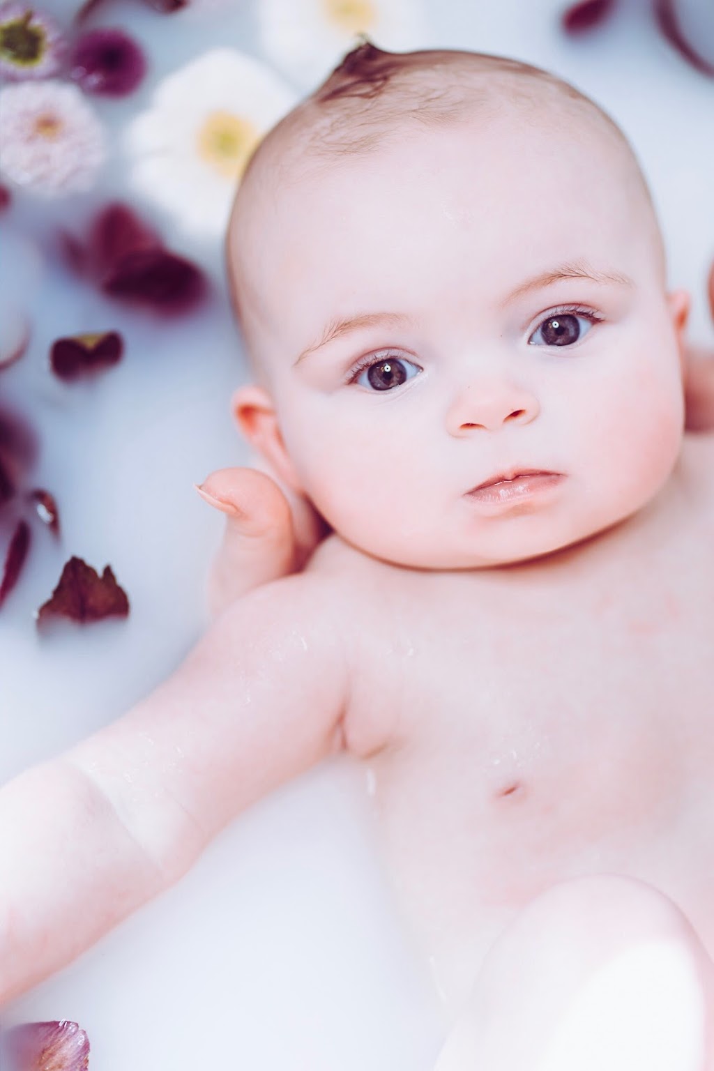 Peka Studio | 33 66a St, Delta, BC V4L 1M3, Canada | Phone: (250) 808-8833