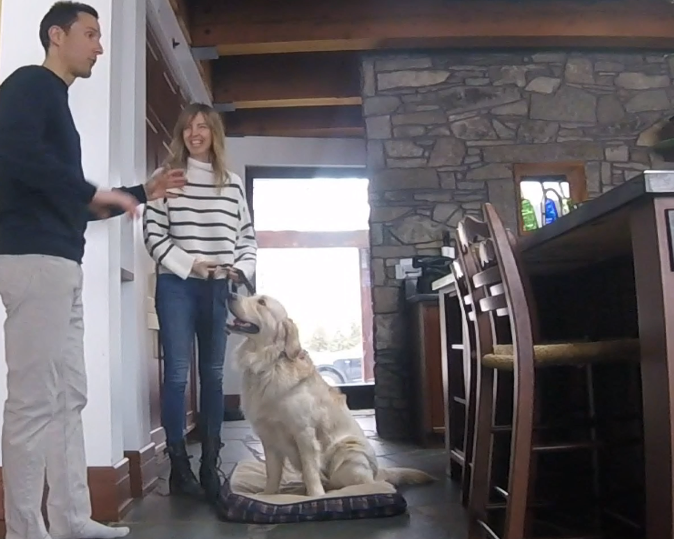 Leadership Based Dog Training | 104 Av. Angell, Beaconsfield, QC H9W 4V7, Canada | Phone: (514) 965-5869