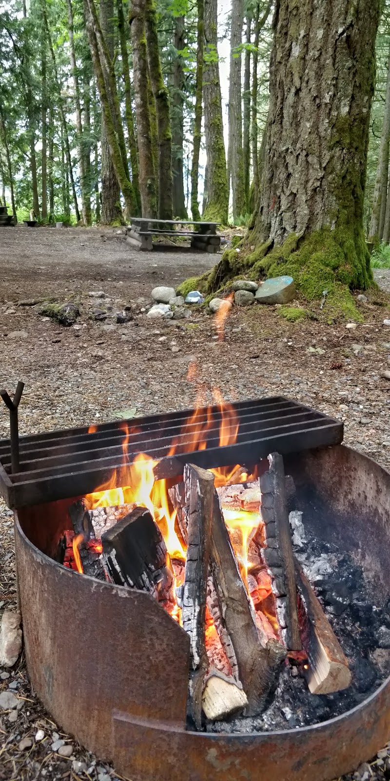 Bear Creek Campground | Unnamed Rd, Fraser Valley C, BC V0M 1K0, Canada | Phone: (604) 701-8657