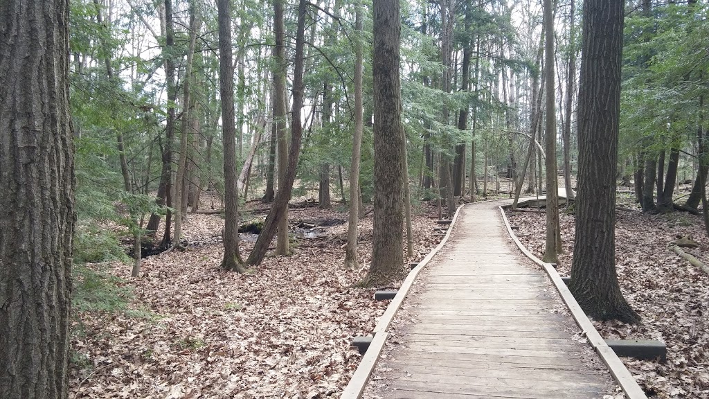 Strasburg Creek | Brigadoon, Kitchener, ON N2R, Canada