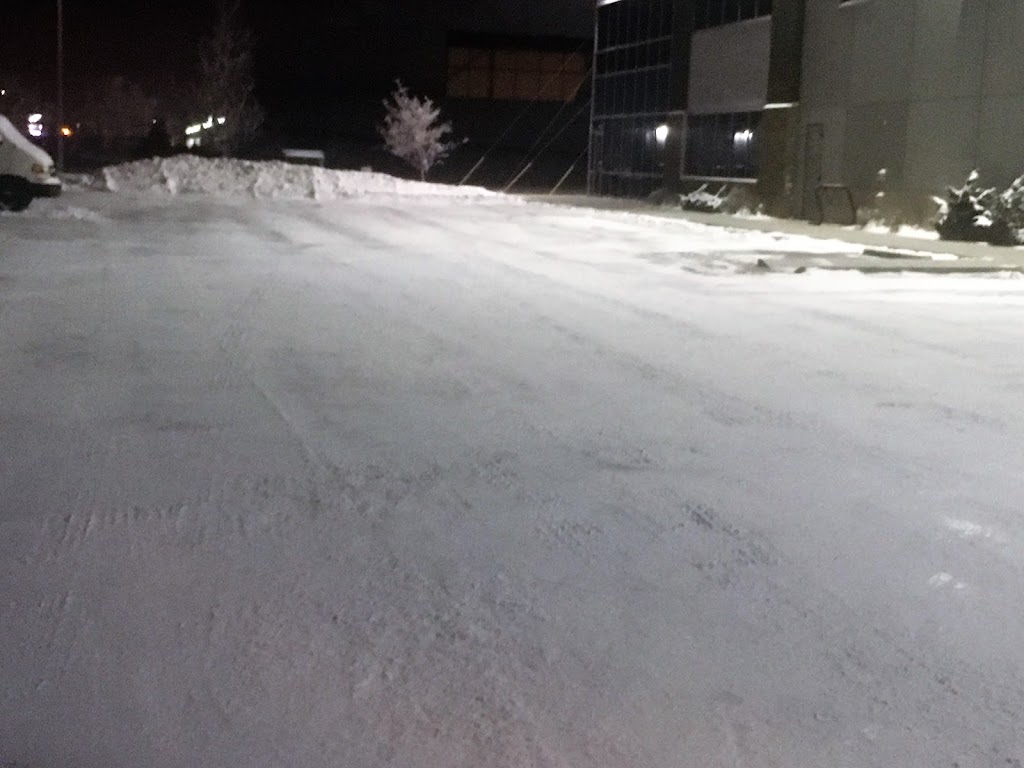 Peritus Yard Maintenance | 29 Cranarch Cres SE, Calgary, AB T3M 2J3, Canada | Phone: (403) 201-7182