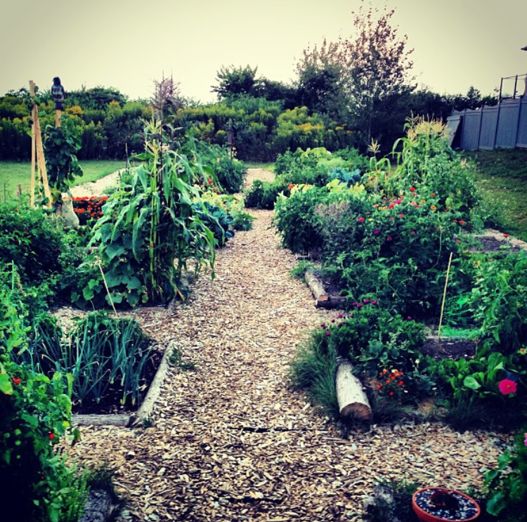 Hebron Community Garden | Whitby, ON L1R 2W1, Canada