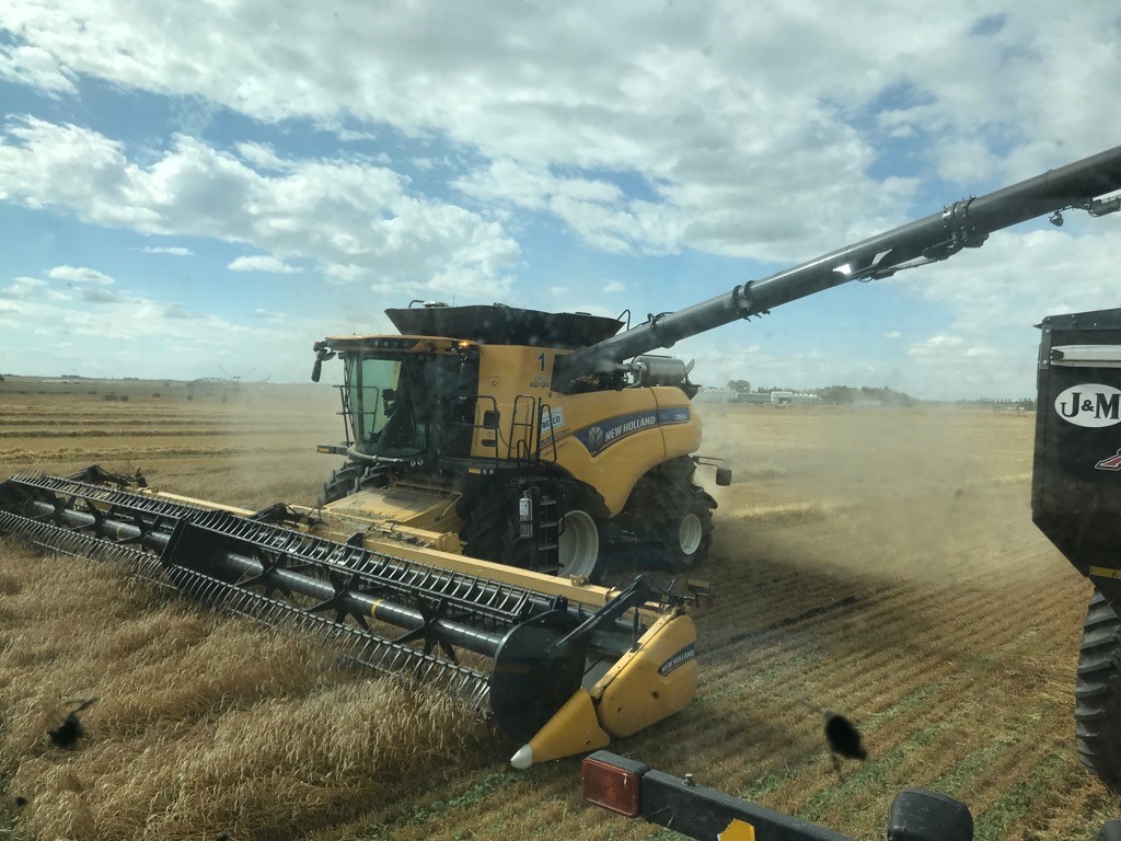 Bezco Farming Inc. | 201040 Hwy 512, Lethbridge County, AB T1M 1M9, Canada | Phone: (403) 634-4670