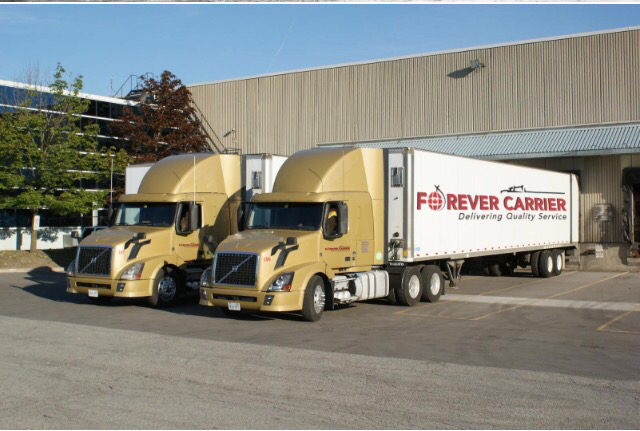 Forever Carrier | 5225 Orbitor Dr Unit-13, Mississauga, ON L4W 4Y8, Canada | Phone: (905) 455-1114