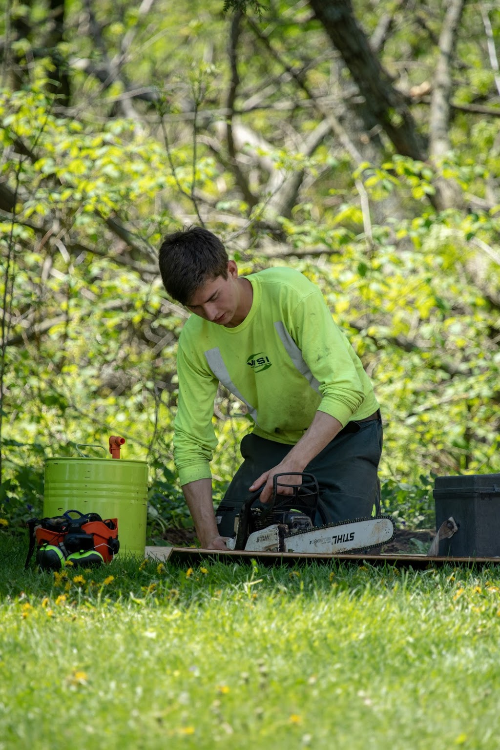 McFarlan Tree Care Inc. | 572 Huron Dr, Burlington, ON L7T 3V5, Canada | Phone: (905) 516-4453