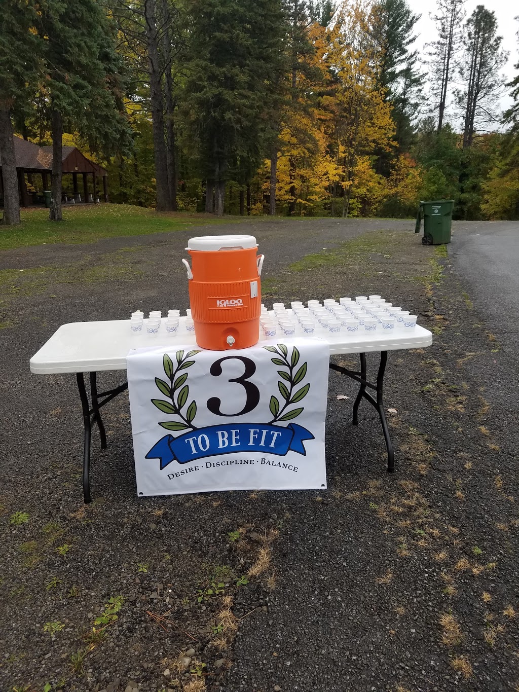 3 To Be Fit | 3984 Burke Pkwy #2, Blasdell, NY 14219, USA | Phone: (716) 649-9269