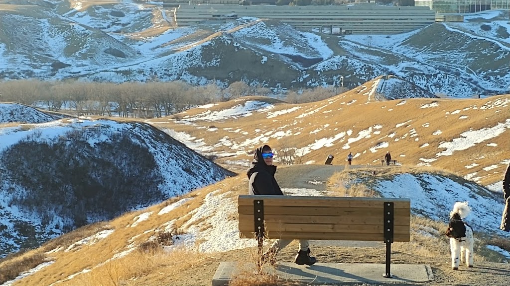 Scenic Drive Dog Run | 1107 6 St S, Lethbridge, AB T1J 1T1, Canada | Phone: (403) 320-4099