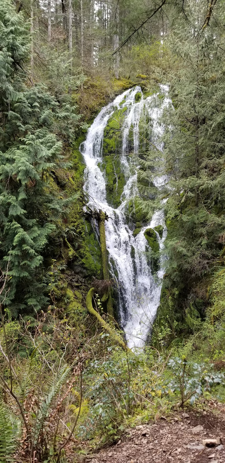 Mckenzie Bight | Highlands, BC, Canada