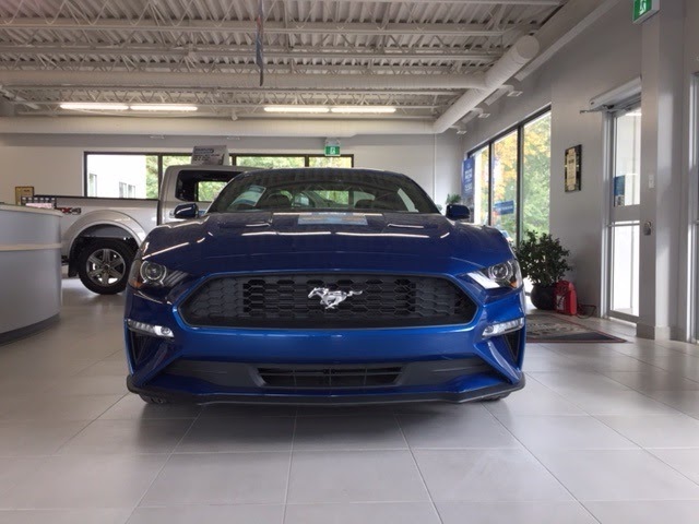 Gimli Auto | 16 7 Ave, Gimli, MB R0C 1B0, Canada | Phone: (204) 642-5137