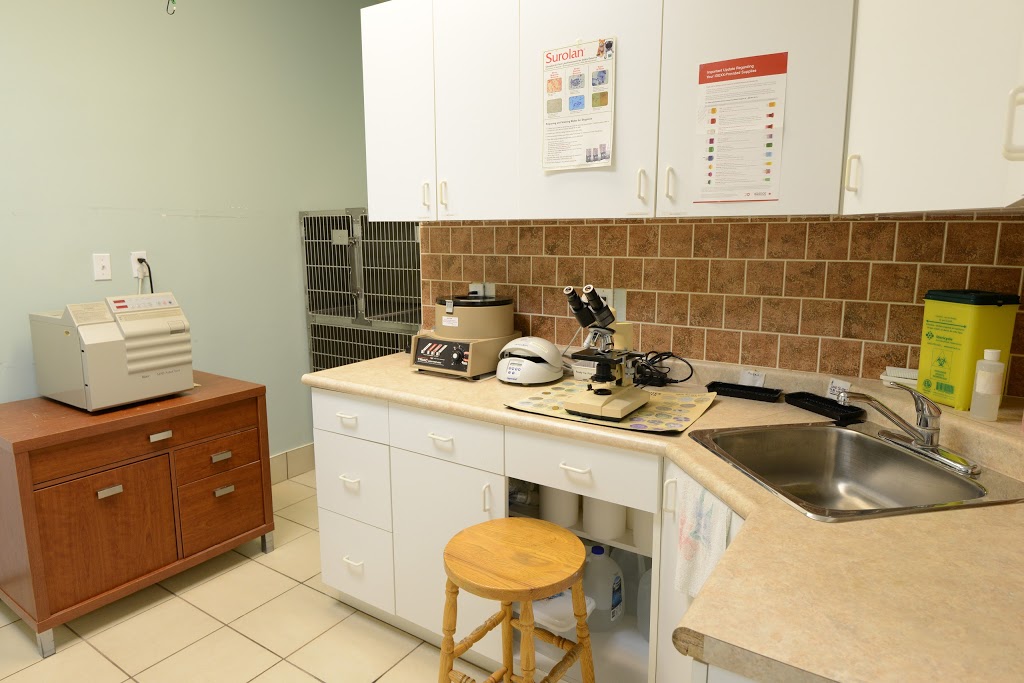 Simcoe Street North Veterinary Clinic | 1487 Simcoe St N, Oshawa, ON L1G 4X8, Canada | Phone: (905) 571-3009