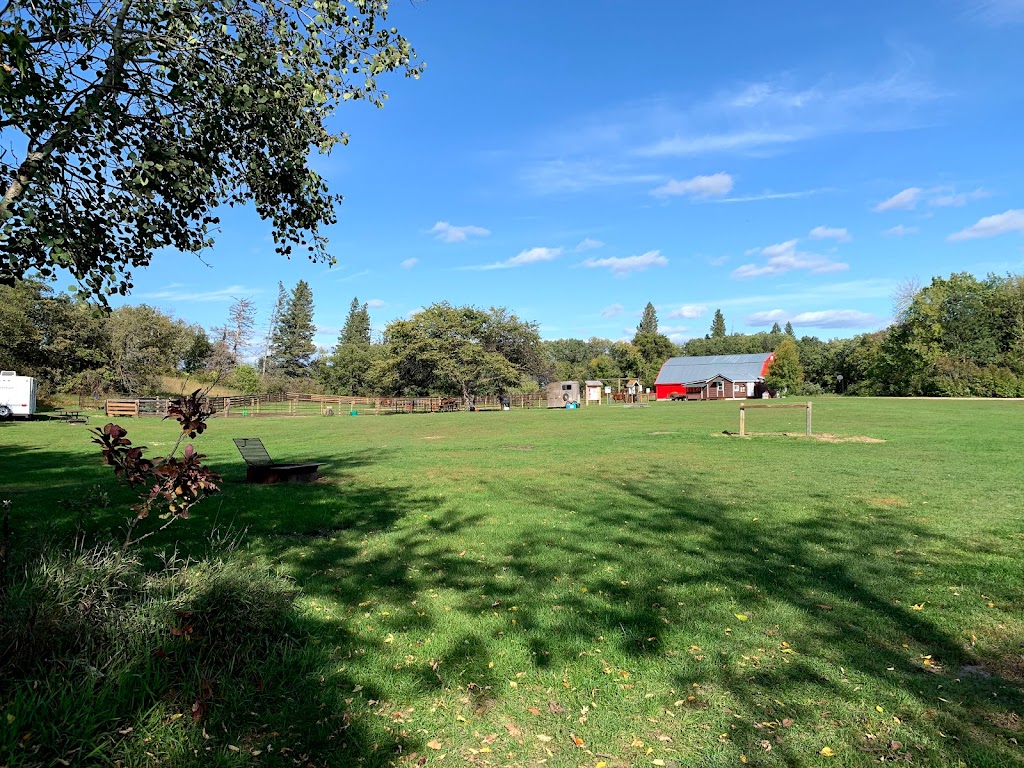 Spruce Woods Equestrian Campground | MB-5, South Cypress, MB R0K 0P0, Canada | Phone: (204) 827-8851