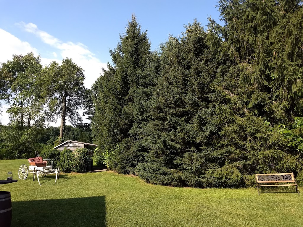 Casa Moga | 8615 Olde Dr, Mount Brydges, ON N0L 1W0, Canada | Phone: (519) 661-6920