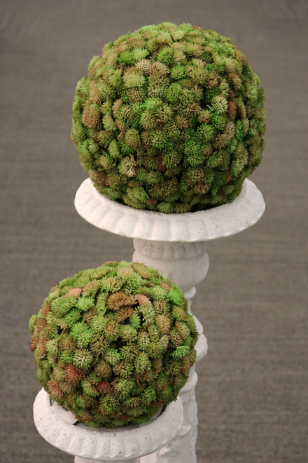 Green Import Limited | 396 Watline Ave, Mississauga, ON L4Z 1X2, Canada | Phone: (905) 502-9955