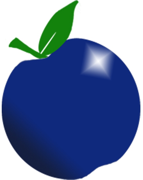 Great Scott Bookkeeping and Tax | 15 Fairview Ave, Kitchener, ON N2H 3E7, Canada | Phone: (519) 749-0213