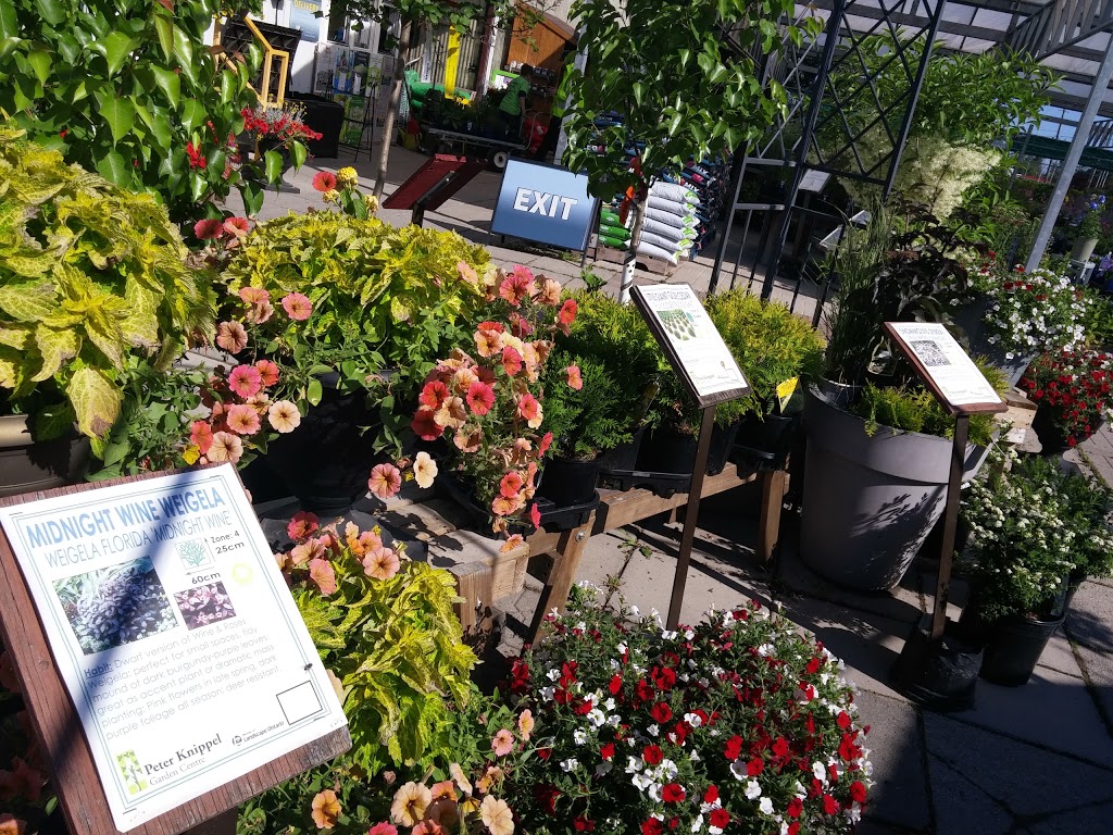 Peter Knippel Nursery & Garden Centre Inc | 4590 Bank St, Gloucester, ON K1T 3W6, Canada | Phone: (613) 822-0383