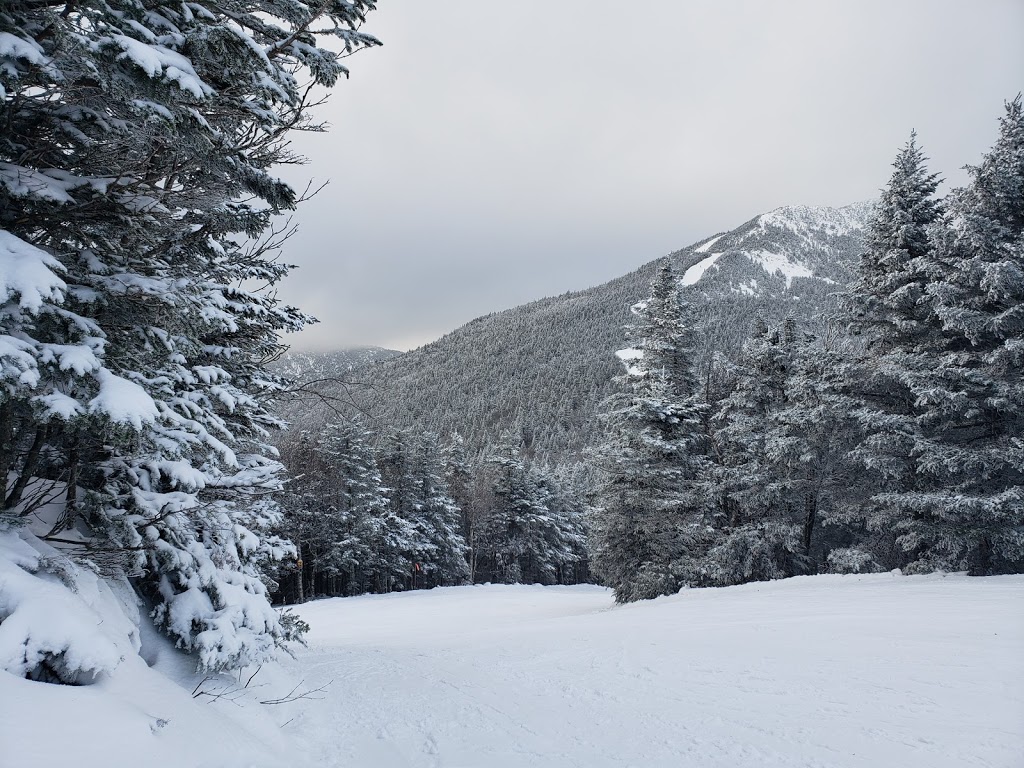 Jay State Forest | 1229 Portland St. #201, Richford, VT 05763, USA | Phone: (802) 751-0110