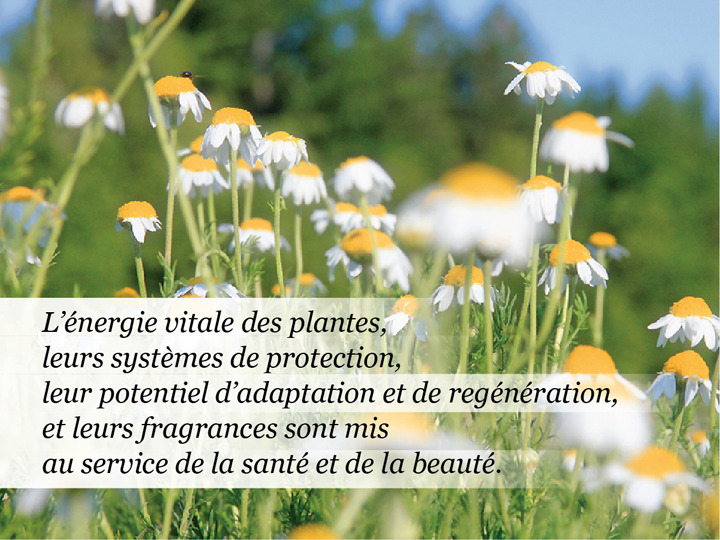 Boutique Pranasens inc | 90b Rue de lÉglise, Sainte-Geneviève-de-Batiscan, QC G0X 2R0, Canada | Phone: (418) 362-2499