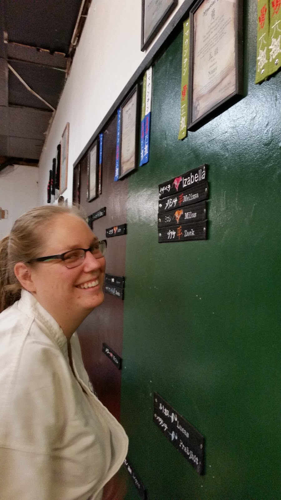 Mountain Martial Arts | 290 Barton St, Stoney Creek, ON L8E 2K6, Canada | Phone: (905) 664-6313